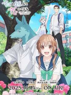 너와 넘어 사랑이 된다