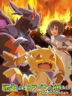 전생했더니 드래곤의 알이었다