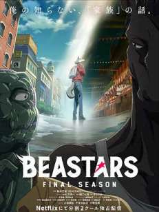 비스타즈 파이널 시즌